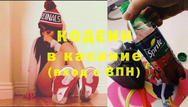 хмурый Аркадак