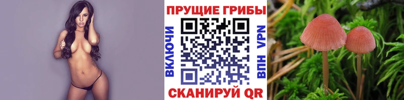наркотики  мега маркетплейс  Галлюциногенные грибы мицелий  Аркадак 